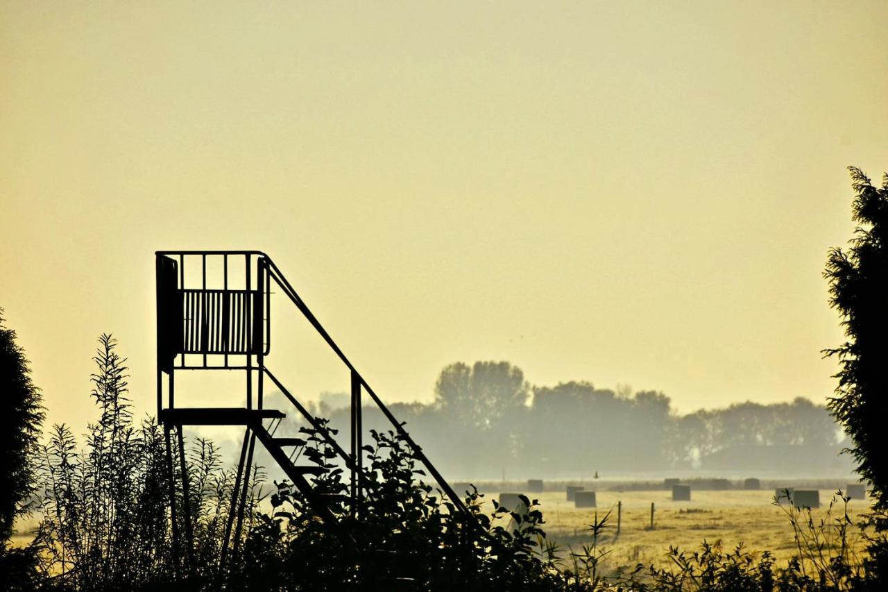 Vakantiehuis Het Voorhuis Op Landgoed Koepeltjesplaats Gaast 外观 照片