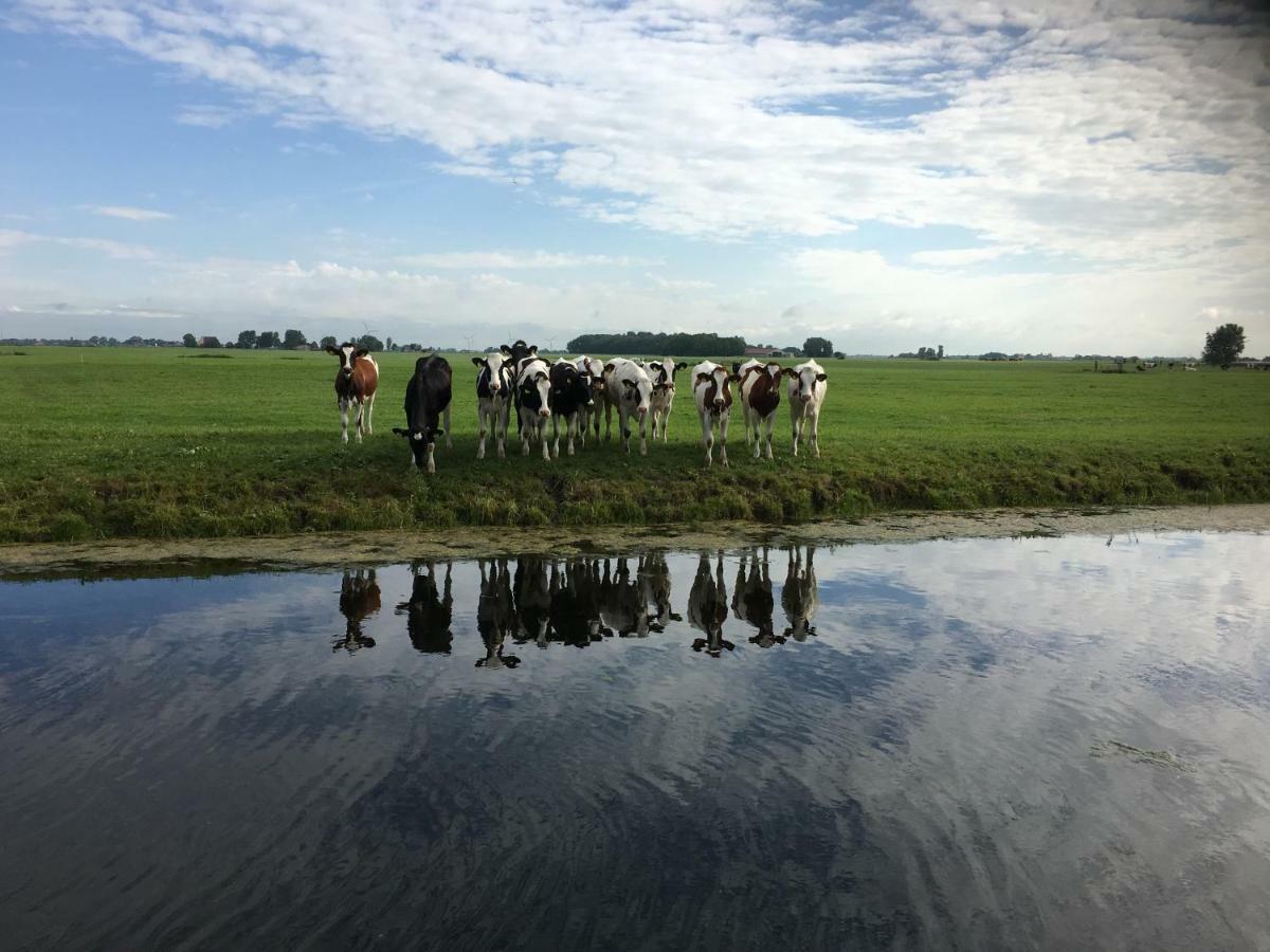 Vakantiehuis Het Voorhuis Op Landgoed Koepeltjesplaats Gaast 外观 照片