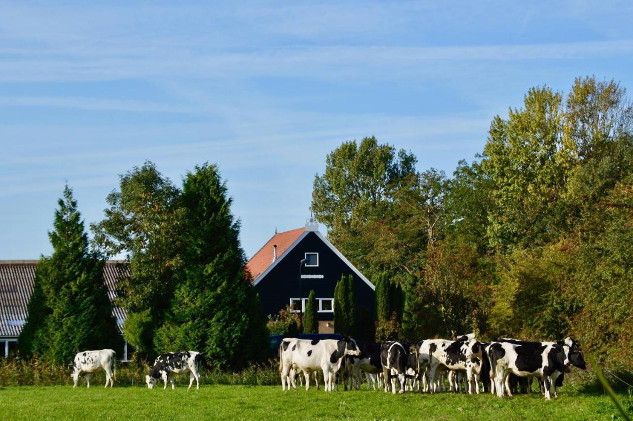 Vakantiehuis Het Voorhuis Op Landgoed Koepeltjesplaats Gaast 外观 照片