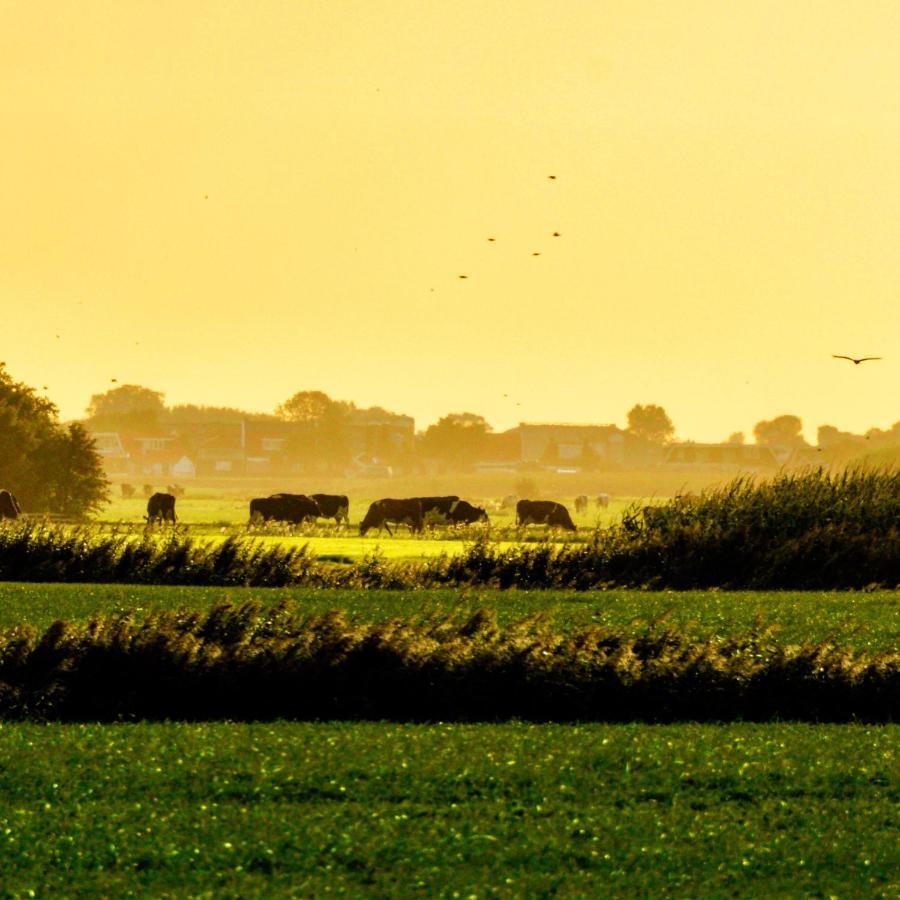 Vakantiehuis Het Voorhuis Op Landgoed Koepeltjesplaats Gaast 外观 照片
