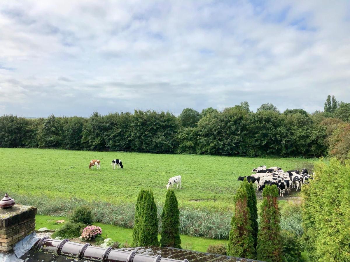 Vakantiehuis Het Voorhuis Op Landgoed Koepeltjesplaats Gaast 外观 照片