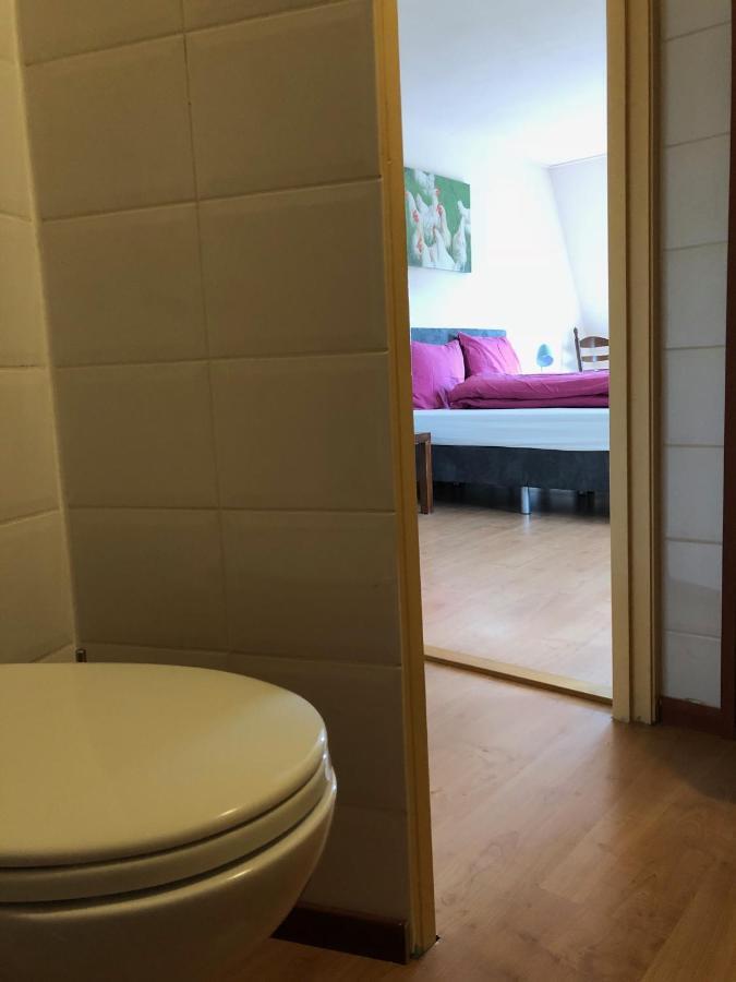 Vakantiehuis Het Voorhuis Op Landgoed Koepeltjesplaats Gaast 外观 照片